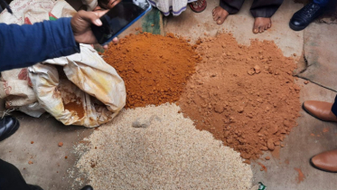 ইট-কাঠের গুঁড়া দিয়ে তৈরি হত মসলা!