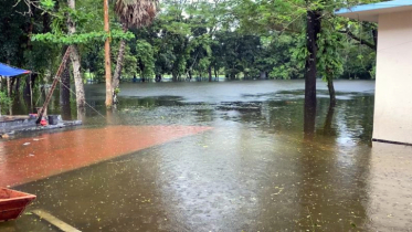 রাতভর বৃষ্টিতে নোয়াখালীতে বন্যা পরিস্থিতির অবনতি