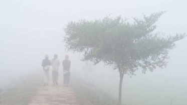 দেশের সর্বনিম্ন তাপমাত্রায় চুয়াডাঙ্গা