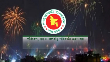 থার্টি ফার্স্টে আতশবাজি ও পটকা ফাটালে জেল জরিমানা