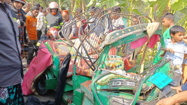 শেরপুরে বাসচাপায় সিএনজি অটোরিকশার ৫ জন নিহত