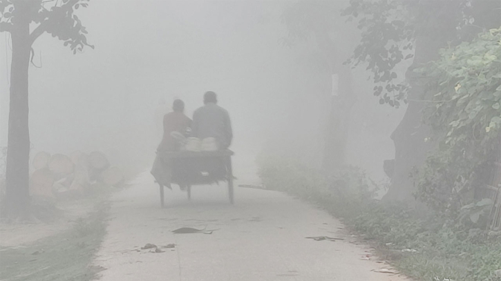 দিনাজপুরে কনকনে শীত, তাপমাত্রা নামল ১০ ডিগ্রিতে