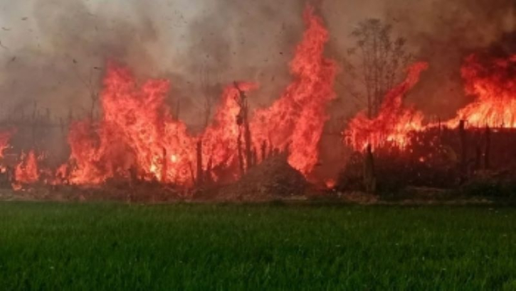 ভেড়ামারায় পানের বরজে আগুন, নিয়ন্ত্রণে ফায়ার সার্ভিসের ৯ ইউনিট