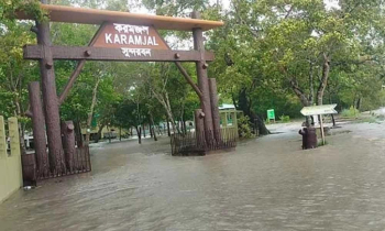 জলোচ্ছ্বাসে তলিয়ে গেছে সুন্দরবন