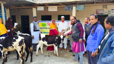 বাছুর দেওয়ার কথা বলে ফটোসেশন করে হাতে খিচুড়ি ধরিয়ে দিল এনজিও